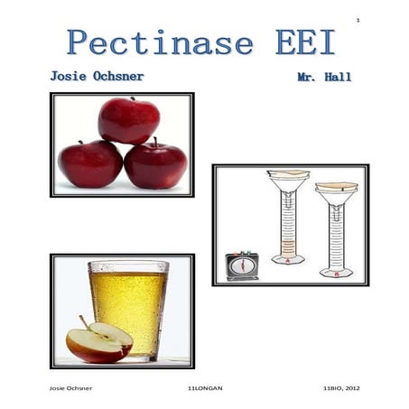 Pectinase EEI | DOCX