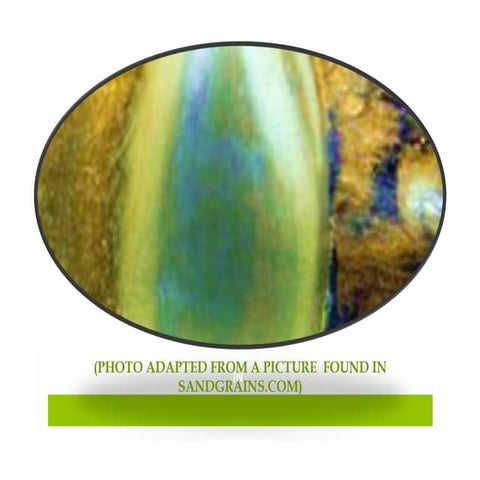 essay testaking tips