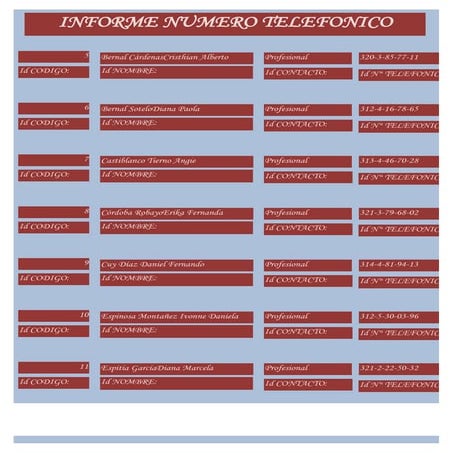 9 informe numero telefonico