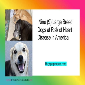 Canine Cardiomyopathy | PDF