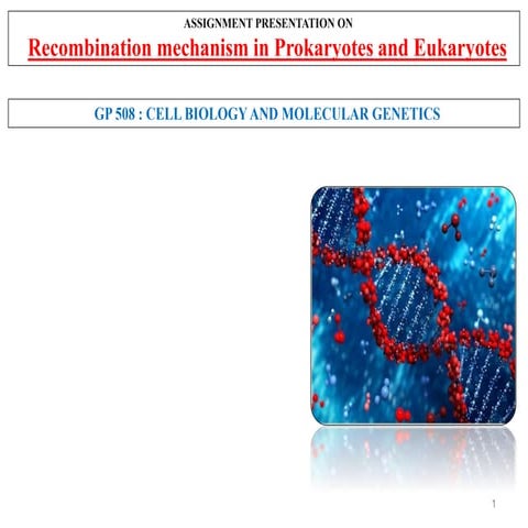 Mechanism of Recombination in Prokaryotes and Eukaryotes FINAL.pptx