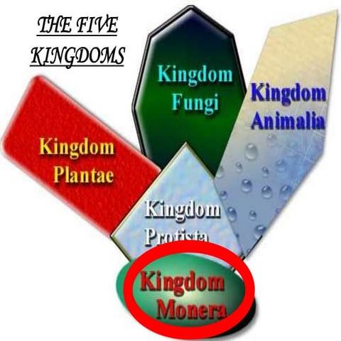 Moneran Kingdom- The Kingdom of Classification