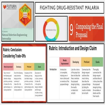 Composing The Final Proposal