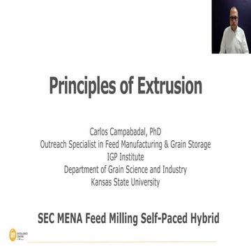 9_Principles_of_Extrusion_Processing.pdf