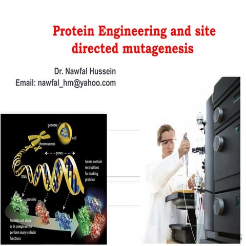   protein engineering and site directed mutagenesis