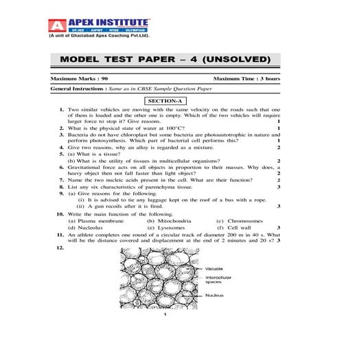 Summative Assessment Paper-7