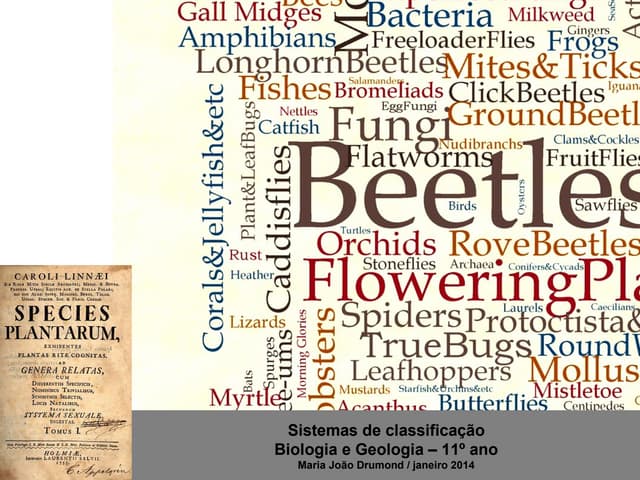 9 sistemas classificação