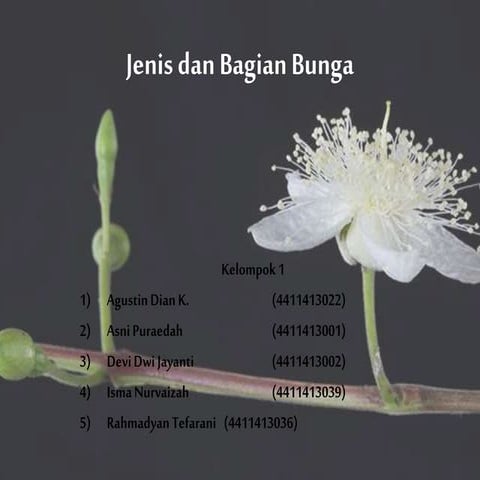 PPT Morfologi Tumbuhan - Jenis dan Bagian Bunga