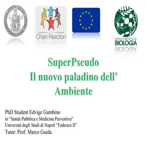 Superpseudo, il nuovo paladino l'ambiente