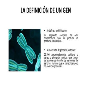La definición de un gen