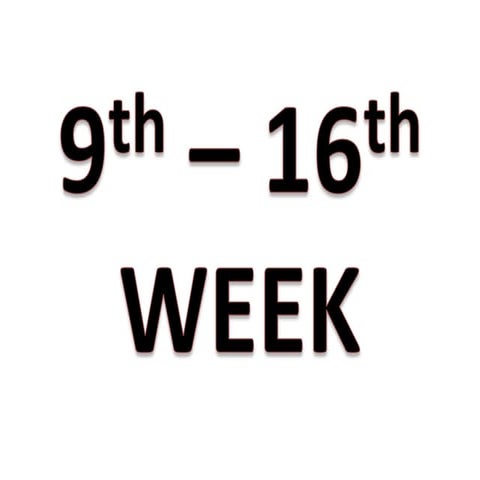 9th-16th week of pregnancy | PPTX