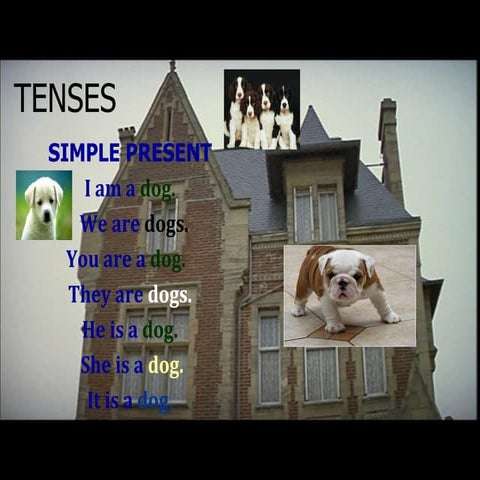 Simple Present, Past and Future Tenses