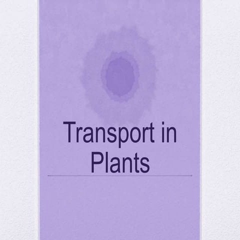 9_ Transport in Plants.ppt