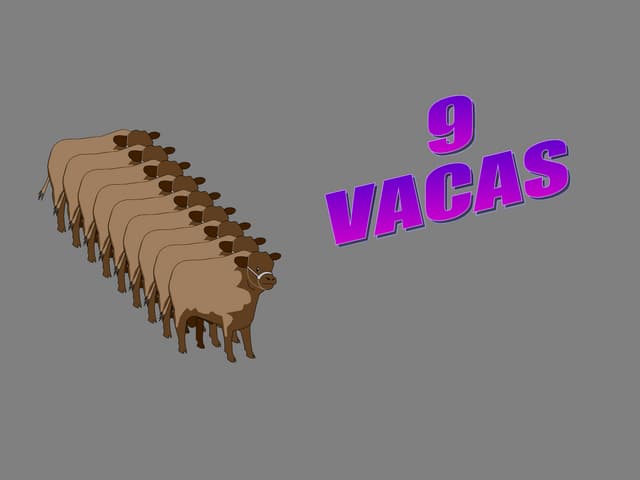 9vacas