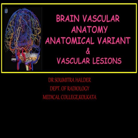 Vascular brain anatomy for Radiology by Dr Soumitra Halder