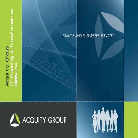 Acquity Group   Itpt   Overview 2009