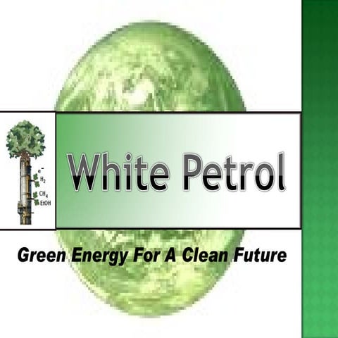 Apresenta Final 14out2