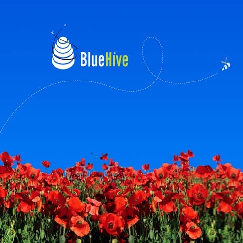 Blue Hive Presentation