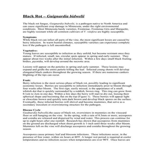 Black Rot | DOC