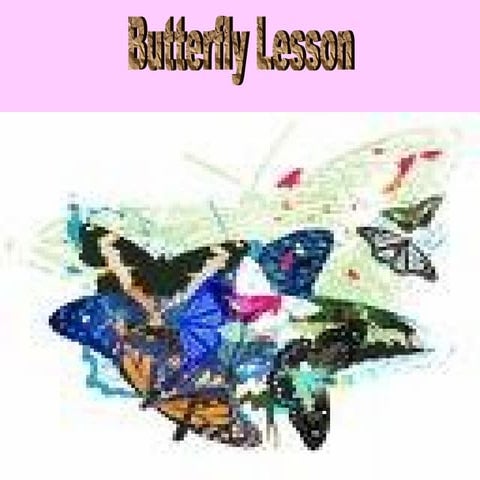 A Butterfly’s Lesson | PPTX