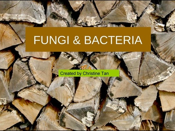 Virus, fungi, and bacteria | PDF