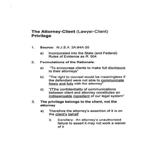 Document review principles and privileges