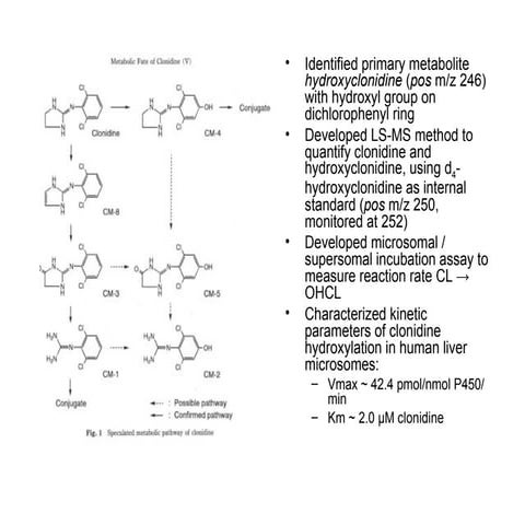 In Vitro Metabolism of Clonidine in Human Hepatic Microsomes and ...