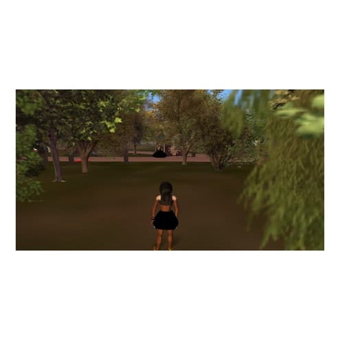 Woman In Fabulous Dress