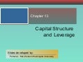 Chapter 13 Capital Structure And Leverage