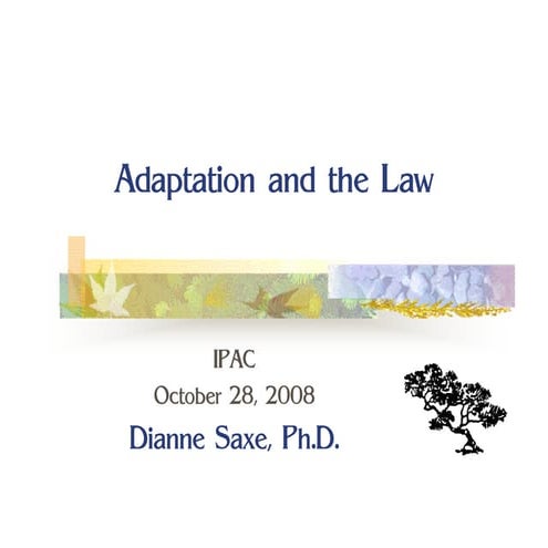 D Saxe Adaptation And Law October 28 08 Ipac