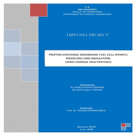 Diploma Project - Report