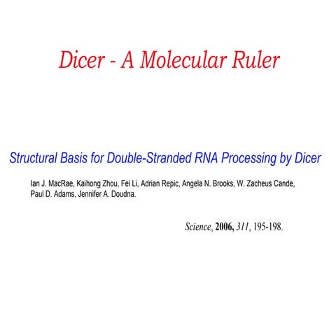 Dicer - A Molecular Ruler