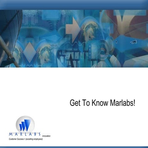 Get To Know Marlabs...