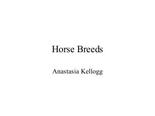 Horse Breeds