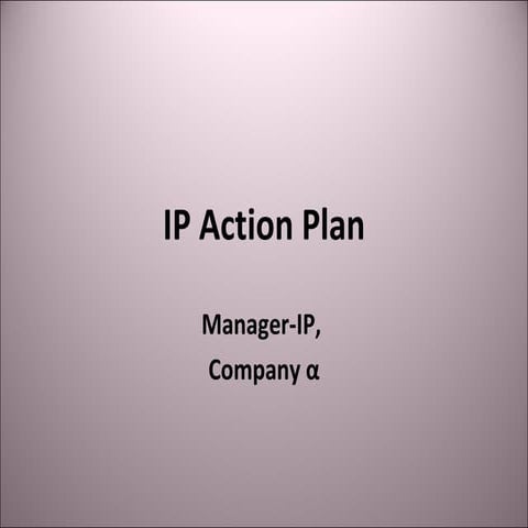Ip Action Plan