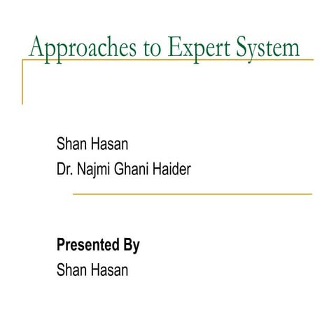 Expert System