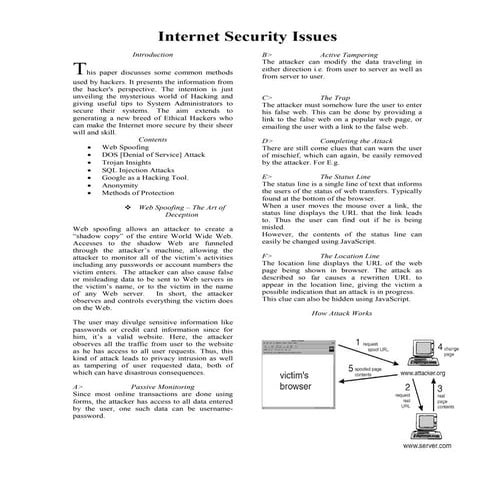 Internet Security Issues