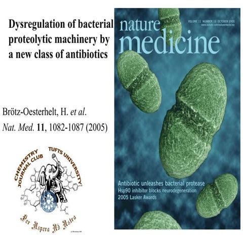 Targeting Bacterial Proteasomal Machinery