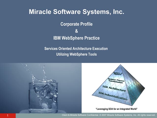 MSS Business Integration Practice   Ibm Web Sphere
