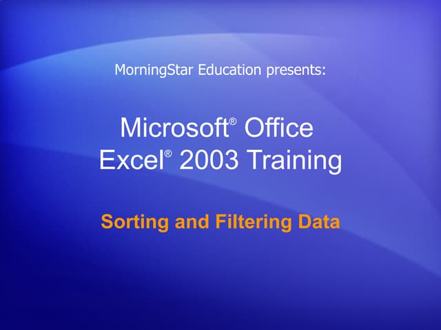 Microsoft Office Excel 2003 Sorting And Filtering