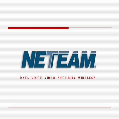 Ne Team Systems Corp  Presentation