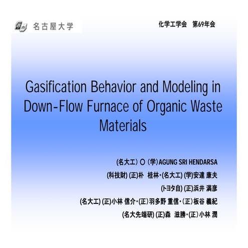 Modeling of Gasification Behavior