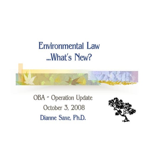 Operation Update 2008 October Oba