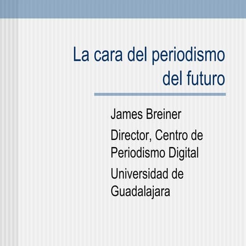 Panorama Del Internet 2008 Noviembre