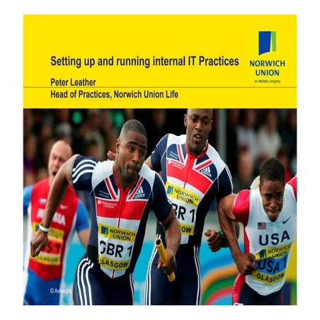 Setting up IT Communities of Practice SFIA Nov 2007