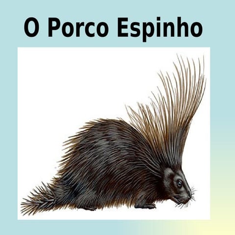 Porco Espinho | PDF