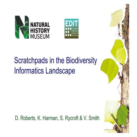 Scratchpads in the Biodiversity Informatics Landscape