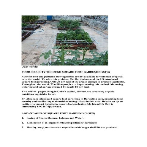 SQUARE FOOT GARDENING