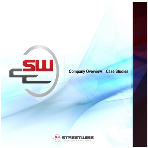 StreetWise Company Overview