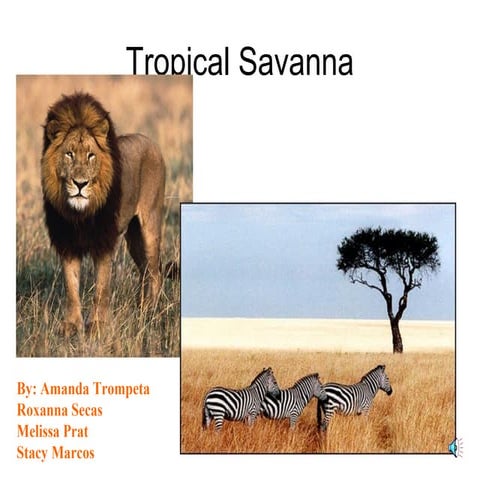 Tropical Savanna Biome